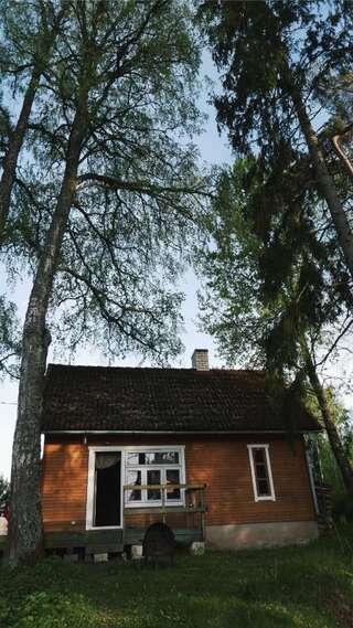Гостевой дом Allika-Löövi Sauna house Suure-Jaani Дом с 1 спальней-14